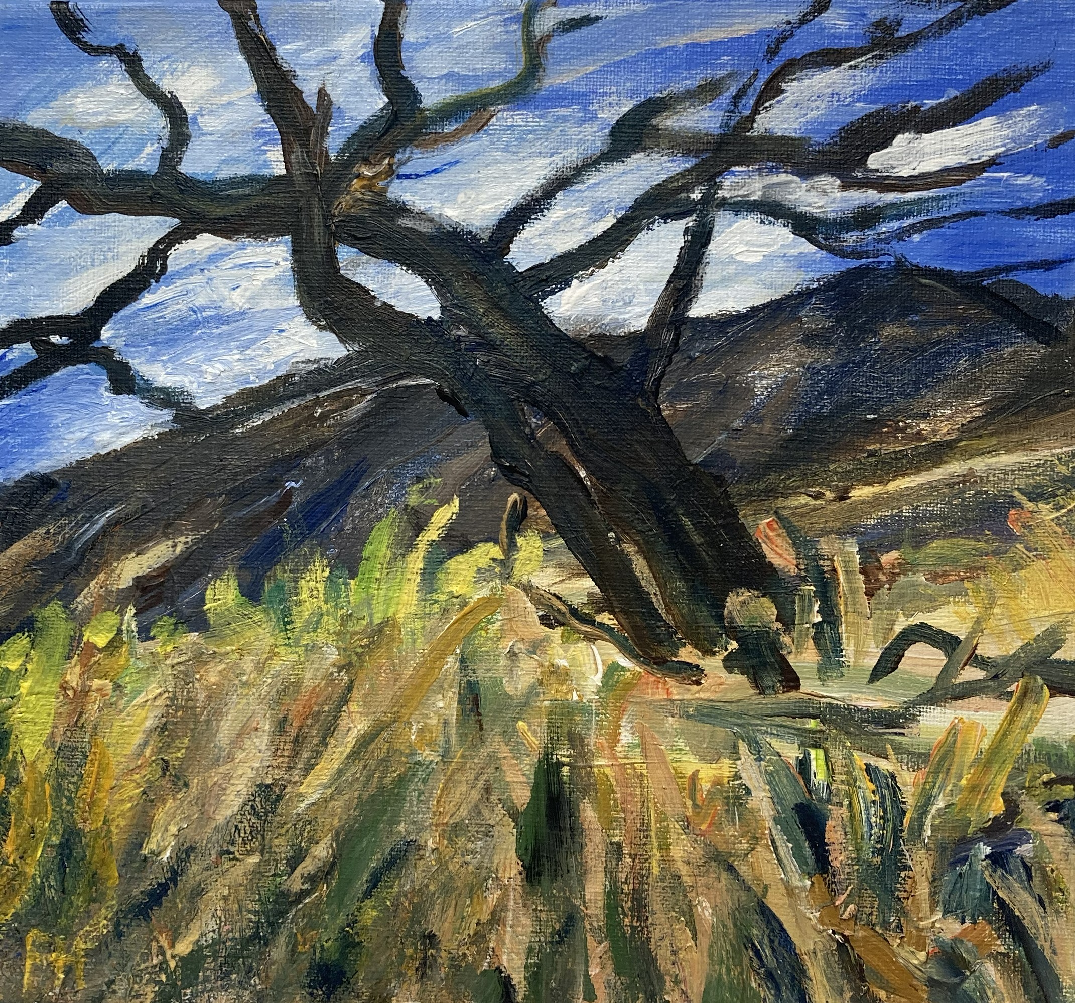 Have_18 (2)